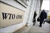 Kiện Mỹ ra WTO: Việt Nam “đừng đi một mình”