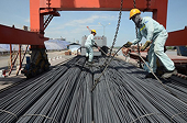 Nguy cơ từ gia tăng đột biến bảo hộ
