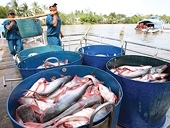 Trận đánh FTA và thế cờ cho doanh nghiệp Việt (bài 3)