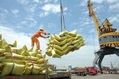 Xuất khẩu gạo tăng trưởng đột biến ở thị trường Indonesia và Bangladesh