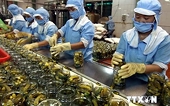 Kim ngạch xuất khẩu rau quả tăng hơn 20%