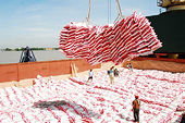 6 tháng đầu năm, GDP nông nghiệp cao nhất trong 10 năm qua