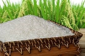 Xuất khẩu gạo bất ngờ tăng vọt giá trị