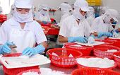 VASEP: ASEAN trở thành thị trường thay thế tiềm năng cho mực và bạch tuộc