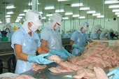 "Cửa hẹp" xuất khẩu cá tra sang Mỹ