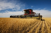 Sau những hàng rào thương mại, Australia cân nhắc kiện Ấn Độ lên WTO