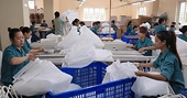 Chủ động ứng phó với thách thức về phòng vệ thương mại trong xuất khẩu