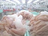 Cá tra Việt hết thời “một mình một chợ”