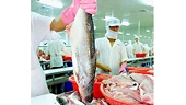  Tận dụng các FTA để tránh ảnh hưởng của cuộc chiến thương mại Mỹ - Trung