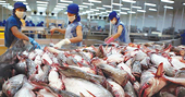Xuất khẩu thủy sản sang EU vẫn "ảm đạm"
