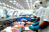 Xuất khẩu cá tra sang Mỹ đã thực sự "dễ thở"?