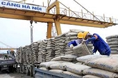 Đến lượt xi măng xuất khẩu bị Philippines khởi xướng điều tra tự vệ