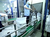 Ngành gạo Việt Nam trước xu thế tự do hóa thương mại hoàn toàn