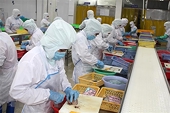 Khắc phục "thẻ vàng" IUU - Gỡ vướng xác nhận nguồn gốc nguyên liệu
