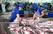 Việt Nam có thể trở thành trọng điểm mới của đầu tư quốc tế