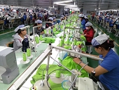 Hàng “made in Viet Nam” tận dụng cơ hội từ cuộc chiến Mỹ-Trung