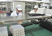 Nhật Bản, Mỹ, EU sẽ hạn chế trợ cấp công nghiệp cho Trung Quốc