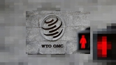 UAE đệ đơn khiếu nại lệnh cấm hàng hóa của Qatar lên WTO