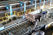 Doanh nghiệp Việt cần chủ động 'đối diện' với gia tăng bảo hộ thương mại