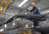 Dù bị điều tra áp thuế tự vệ, thép Việt vẫn xuất khẩu tốt