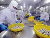 Xuất khẩu tôm hướng tới mục tiêu 4,2 tỷ USD trong năm nay