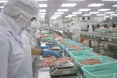 Mỹ tăng thuế chống bán phá giá với cá tra Việt Nam