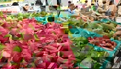 Tháng Tư - Xuất khẩu rau quả “tươi” trở lại