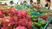 Tháng Tư - Xuất khẩu rau quả “tươi” trở lại