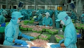 4 tháng: Nông lâm ngư xuất siêu 2,7 tỷ USD