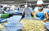 Chủ động mở rộng quy mô và cơ cấu thị trường, hàng hóa xuất khẩu