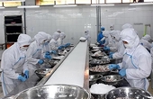 5 tháng đầu năm, xuất khẩu thủy sản giảm nhưng nhập khẩu tăng