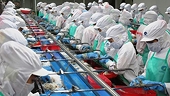 Bộ Công thương thông tin về việc nguyên đơn phía Hoa Kỳ yêu cầu Cơ quan hải quan và bảo vệ biên giới Hoa Kỳ điều tra về hành vi lẩn tránh thuế đối với sản phẩm tôm xuất khẩu của Công ty Cổ phần Tập đoàn Thủy sản Minh Phú