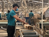 Điều tra bán phá giá ván gỗ công nghiệp: Bước tiến trong phòng vệ thương mại