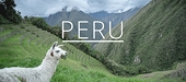 Cơ hội xuất khẩu của doanh nghiệp Việt Nam vào Peru rất lớn