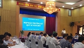 "Khả năng Mỹ áp thuế trừng phạt Việt Nam là chưa có"