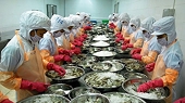 Cơ hội và thách thức của tôm Việt Nam sau EVFTA