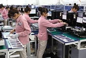 Sau thép, đồ điện tử, đến gỗ Trung Quốc 'chạy' vào Việt Nam rồi xuất khẩu sang Mỹ để trốn thuế?