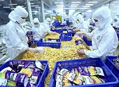 Mở rộng thị trường xuất khẩu cho nông sản
