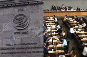 Mâu thuẫn thương mại Hàn-Nhật được thảo luận chính thức tại WTO