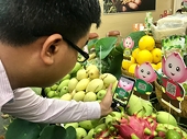 Nắm rõ tiêu chuẩn của thị trường nhập khẩu, doanh nghiệp Việt vẫn khó đưa nông sản xuất ngoại?