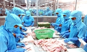 Doanh nghiệp Việt nên cẩn trọng về xuất xứ hàng hóa khi “bước vào” EVFTA