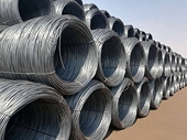 Chú trọng chống gian lận xuất xứ hàng hóa