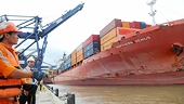 Số liệu các vụ kiện chống bán phá giá, chống trợ cấp và các biện pháp tự vệ của EU năm 2010