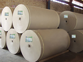 Giải quyết tranh chấp số DS119