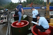 Gian lận thương mại: Nhận diện phương thức và cách phòng chống