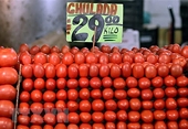 Mỹ và Mexico đạt thỏa thuận chấm dứt tranh cãi về áp thuế cà chua