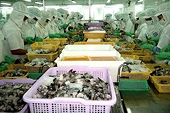 Bất lợi của Việt Nam trong thương chiến Mỹ - Trung