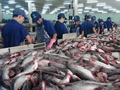 Không lo gian lận thương mại trong ngành thủy sản trong bối cảnh thương chiến Mỹ - Trung