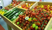 Điều kiện tiên quyết để xuất khẩu nông sản thành công vào Trung Quốc