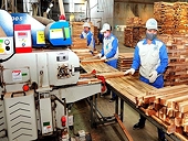 Trùng với sản phẩm Trung Quốc, gỗ Việt xuất khẩu đứng trước cảnh báo đỏ